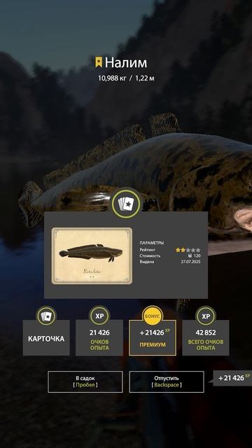 RF4 ДОЛГОЖДАННЫЙ НАЛИМ ТРОФЕЙ НА БЕЛОЙ #рр4