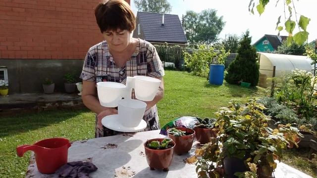 Весь день как белка в колесе.