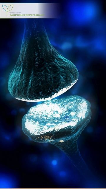 Тягу к сладкому вызывают кишечные бактерии