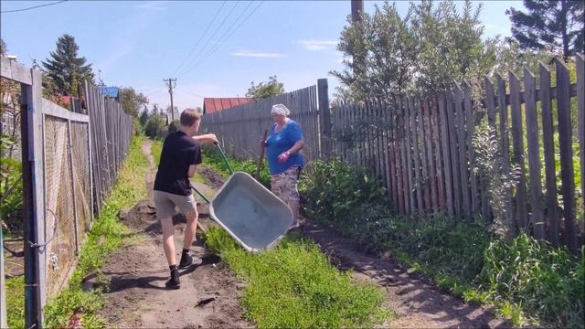 Дорожные работы на дачной аллеи // Выкопала чеснок // Помидоры желтеют