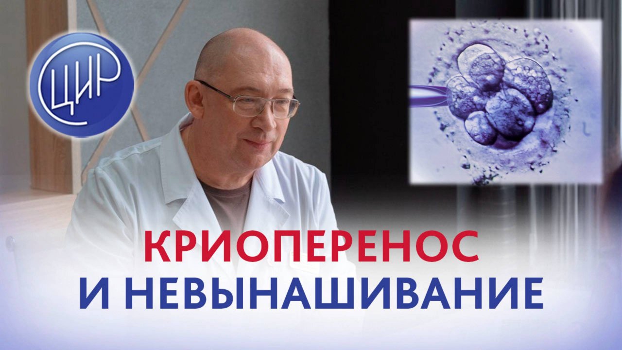 Криоперенос в протоколах ЭКО и вероятность нарушений развития беременности. Игорь Иванович Гузов.
