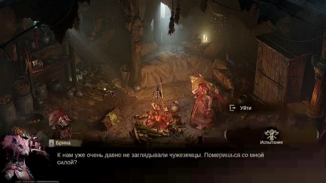 Dragonheir- Silent Gods 14