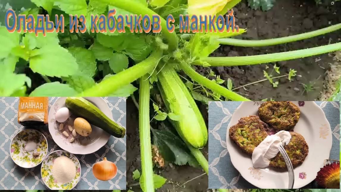 Оладьи из кабачков с манкой.  Как приготовить оладьи из кабачков с манкой. #кабачки #оладьи