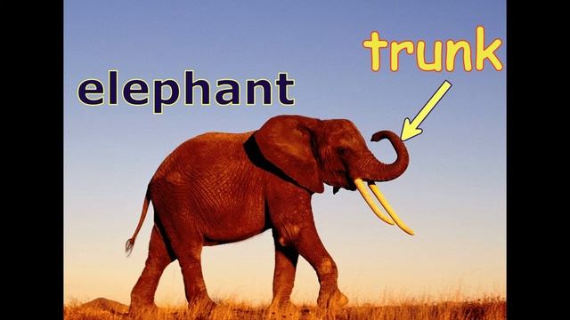 Английский 5 класс SPOTLIGHT_слова к модулю 5 ч 3