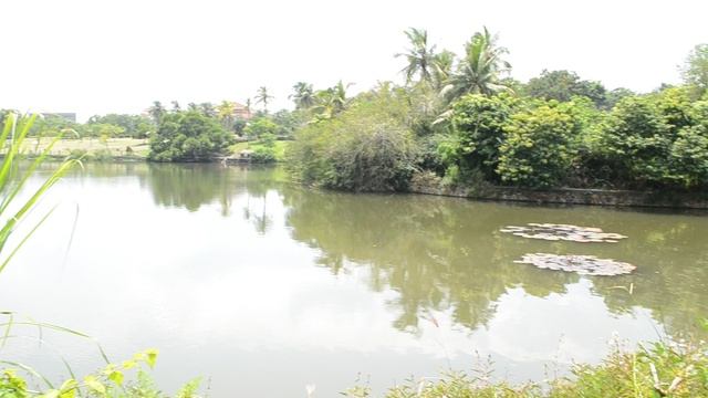 Озеро на горячих источниках в окружении пальм!Хайнань!