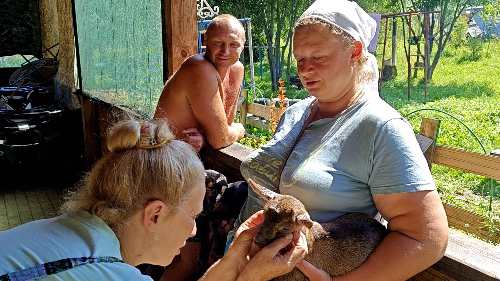 КАКИЕ ЖЕ МИЛЫЕ КАМЕРУНКИ🌼🌷🐐!