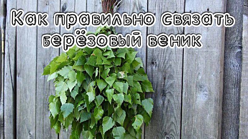 Как правильно связать берёзовый веник для бани.
