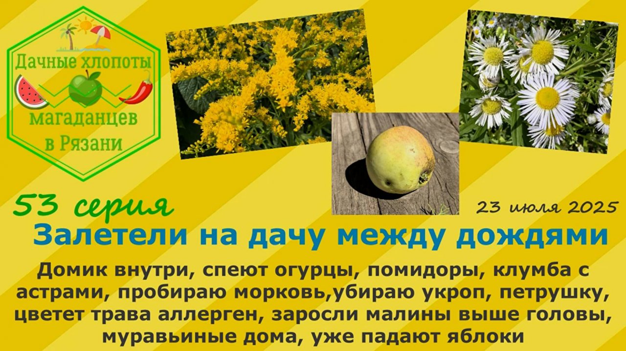 Залетели на дачу между дождями.Домик внутри,огурцы,помидоры, морковь,заросли малины,падают яблоки