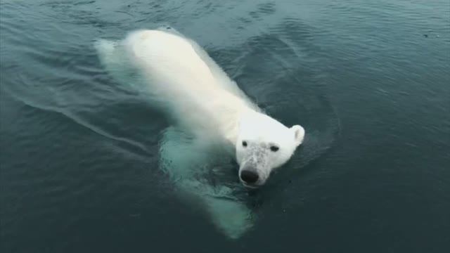 Почта России – все для пенсионеров
