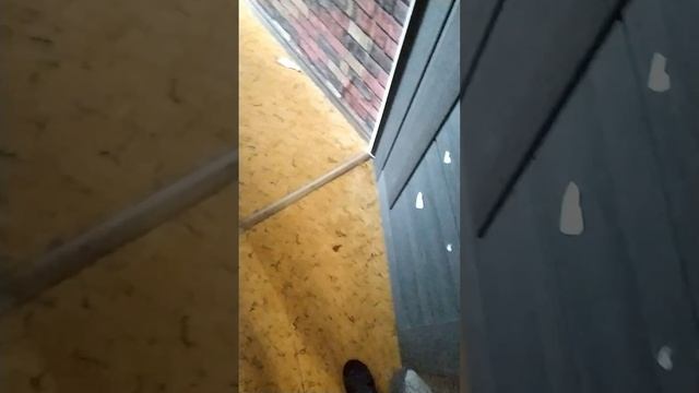 УЛЫБАЮЩИЙСЯ КОМНАТА В РЕАЛЬНОЙ ЖИЗНИ