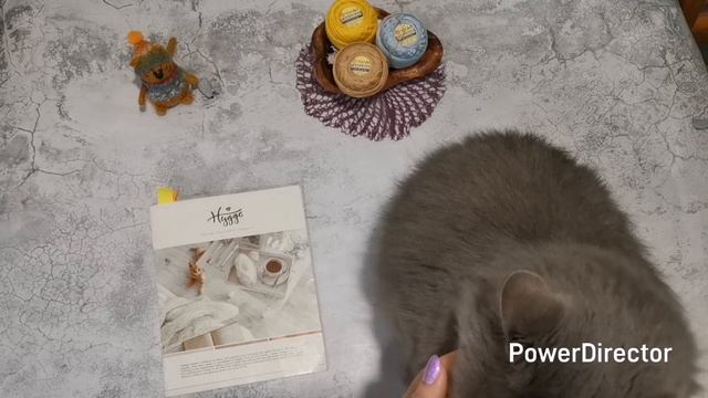 СП "Добиваю недовязы - 4/2025" с Мариной Стоговой Отчёт 26