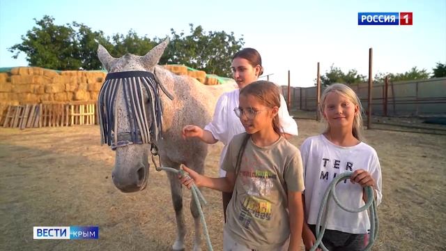 Вести Крым навестили кобылу по кличке «Глюкоза»