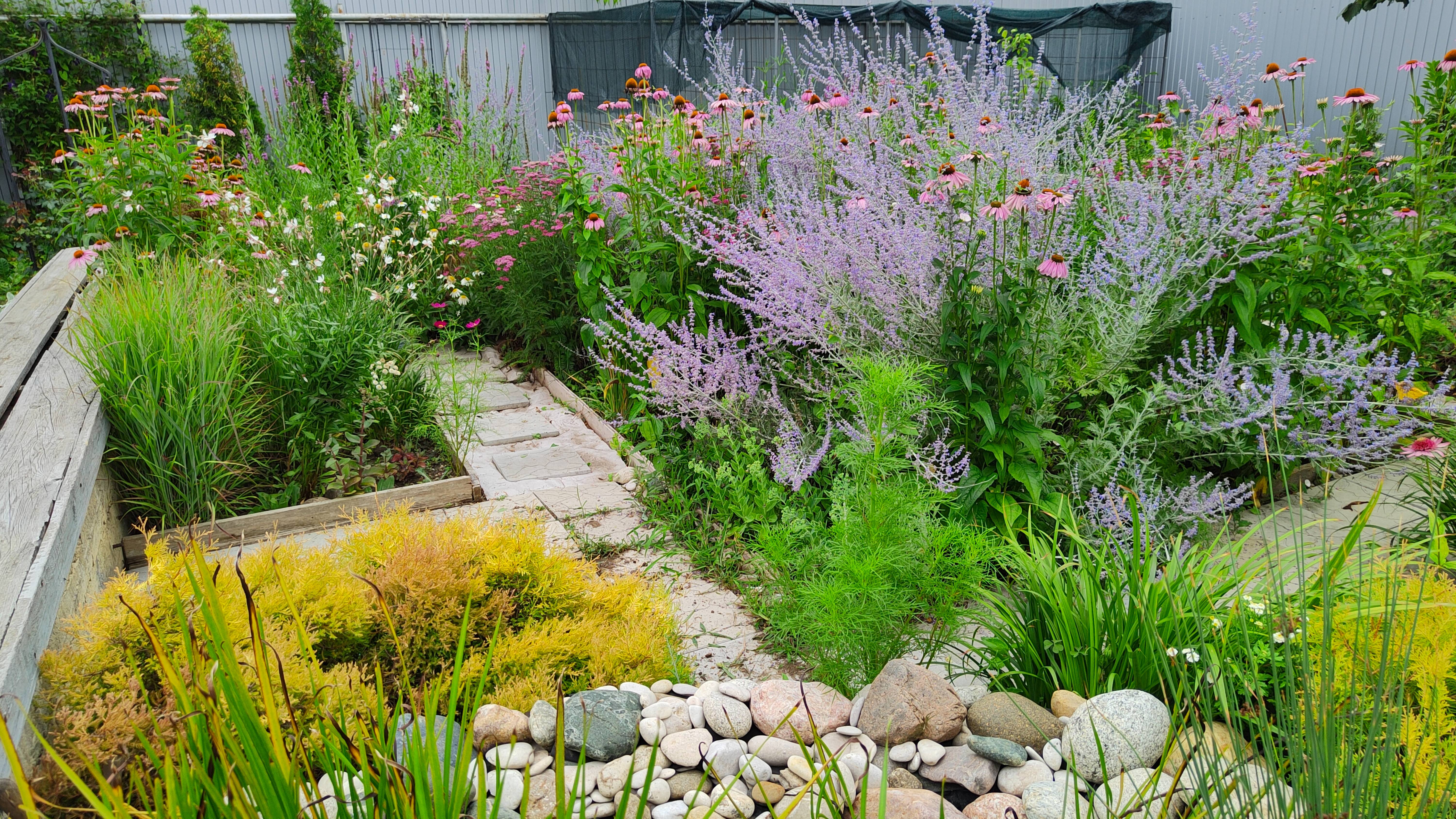 Необычный, природный способ борьбы с муравьями, а значит и с тлёй. Прогулка по южному саду 28.07.25