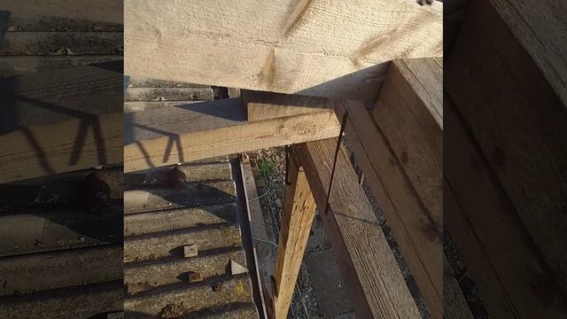 12 шагов. один цикл почти завершён