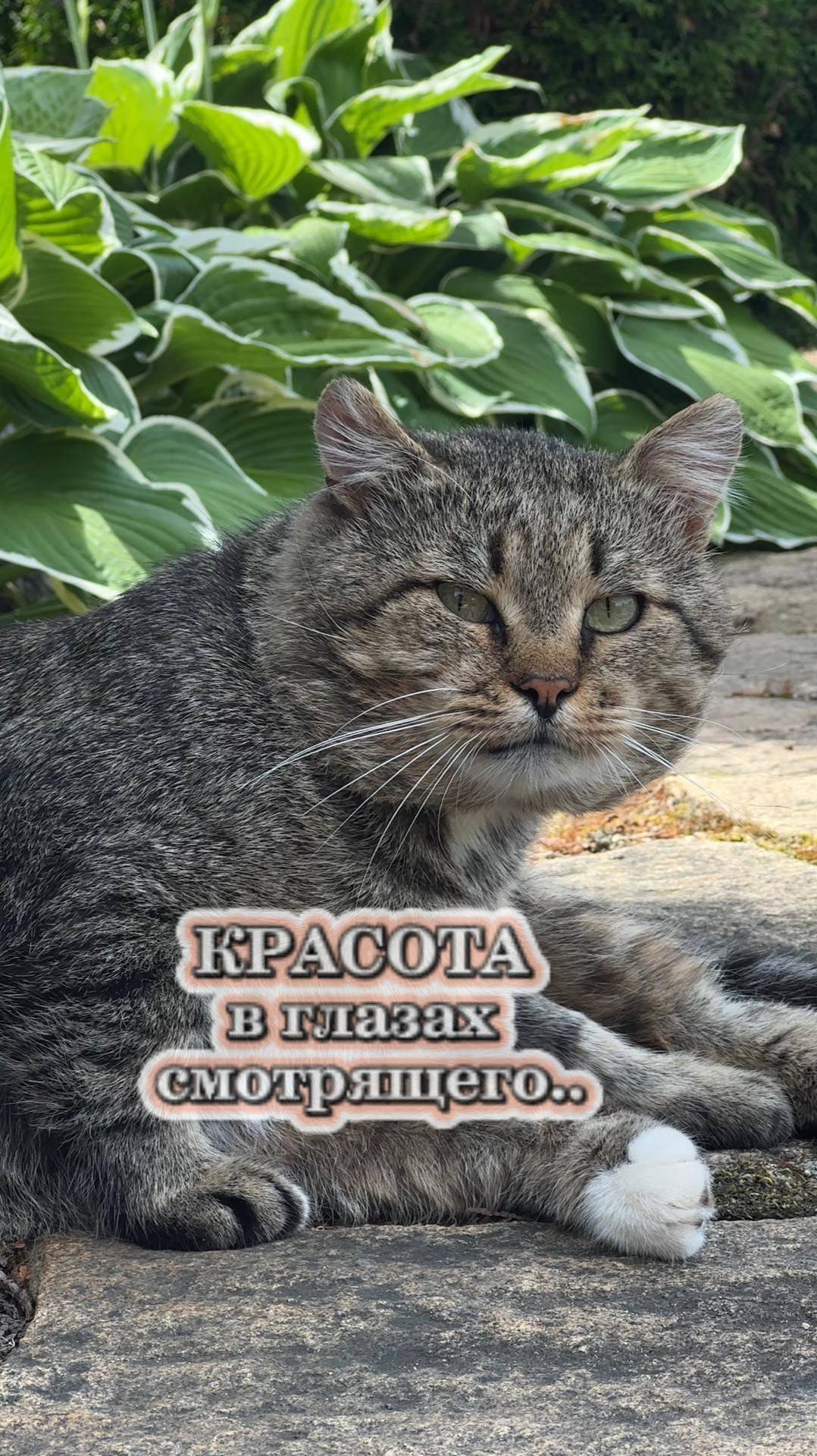 Красота в глазах смотрящего