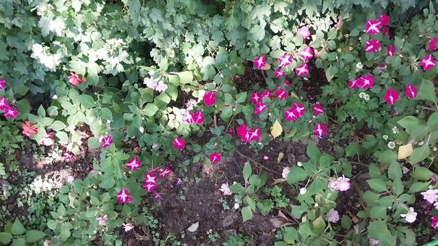 Белки в клетке. Релакс видео.🐿🤗