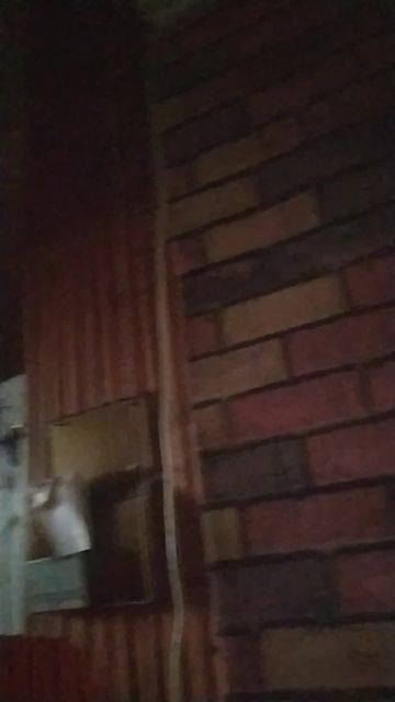 КАК ВЫЗВАТЬ СКИБИДИ ТУАЛЕТ В РЕАЛЬНОЙ ЖИЗНИ. 3 ЧАСТЬ