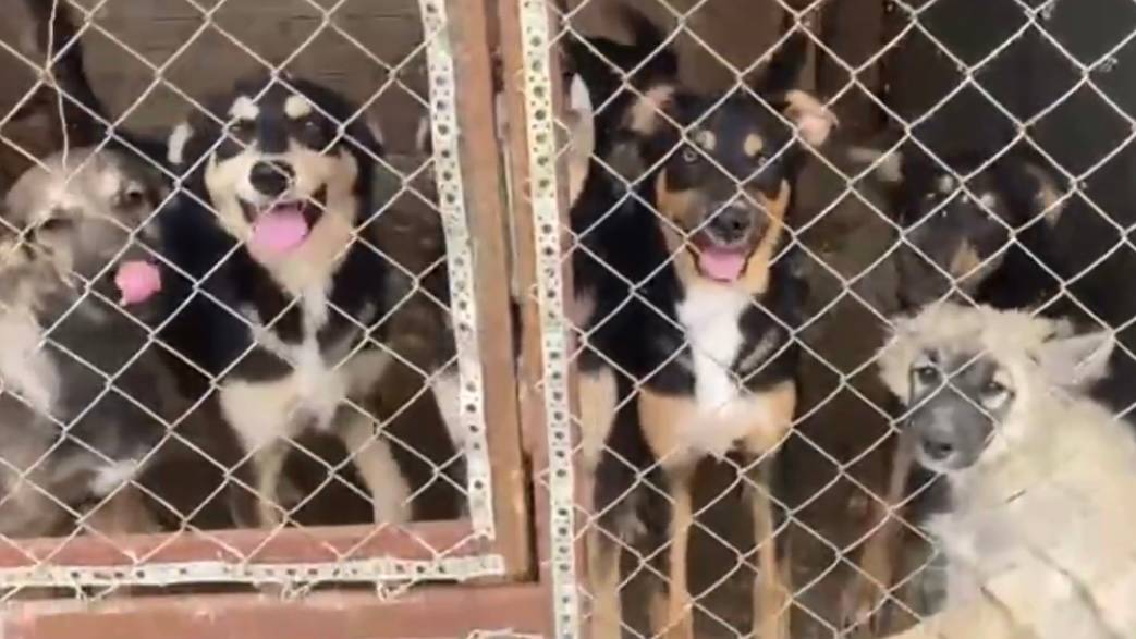 Будем жить вопреки всему!