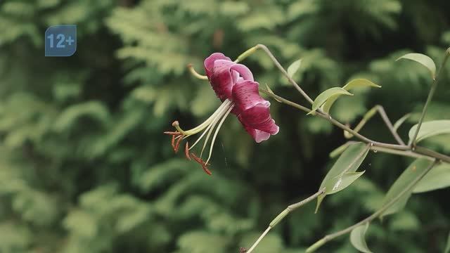 Академия моды, 30.07.2025