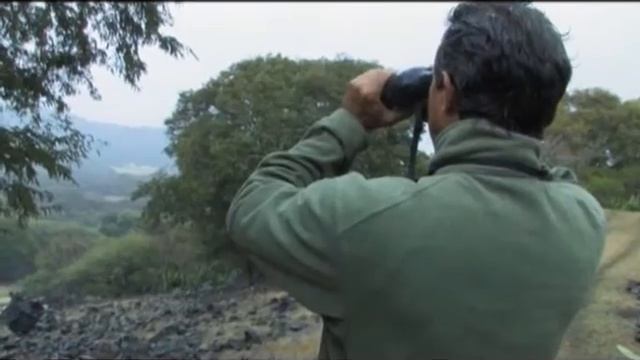 Маврикий - 3. Активный отдых. Мировой вояж. Выпуск 43