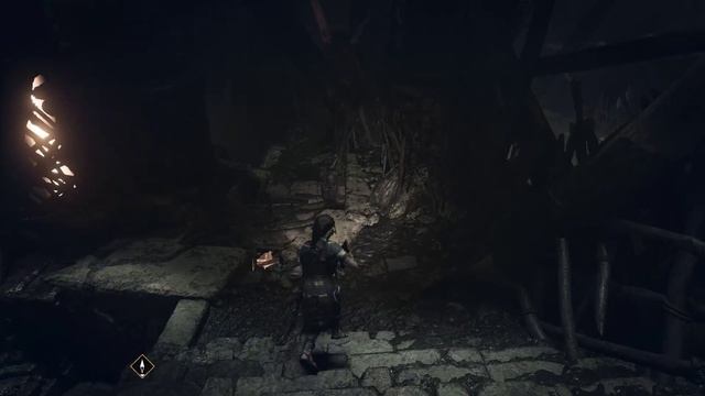 Shadow of the Tomb Raider Гробница Сенота Бежим от Сущности Толпа #19