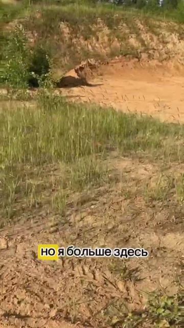 Отзыв от клиента | Мини-погрузчик BAUMECH ML-02