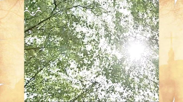 Наставления преподобного Серафима Саровского. О распознавании действий сердечных