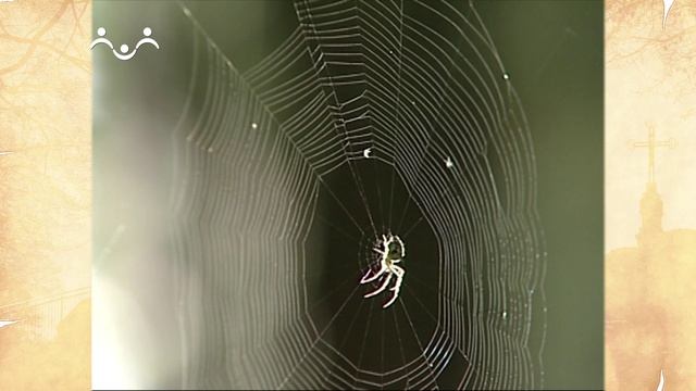 Наставления преподобного Серафима Саровского. О помыслах и плотских движениях