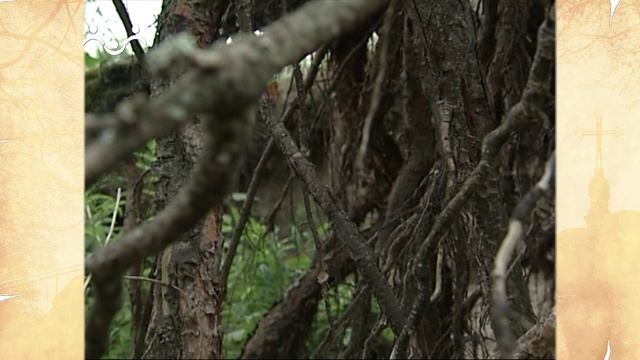 Наставления преподобного Серафима Саровского. О трех волях