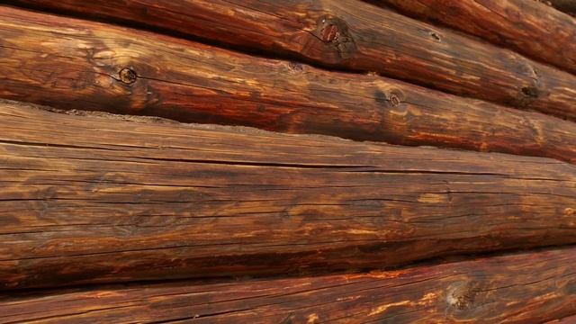 Как защитить дом от пожара и короеда? | Современное строительство