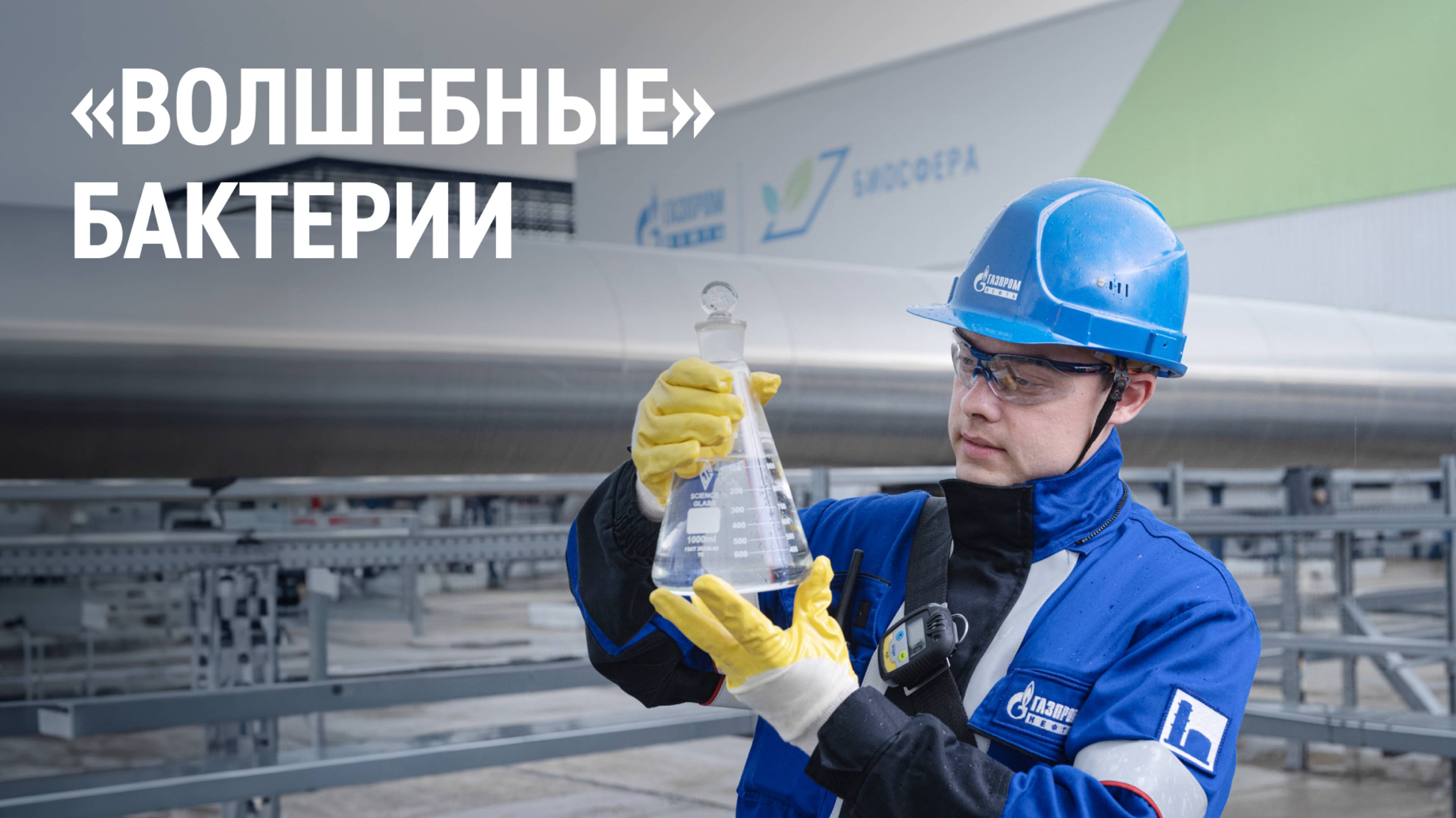 «Волшебные» бактерии