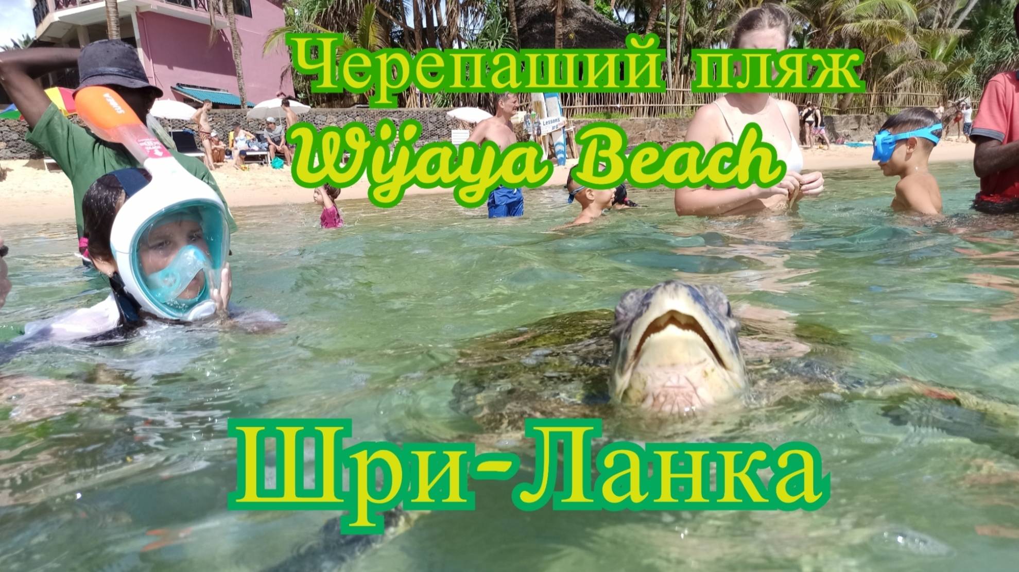 Пляж с морскими черепахами - Wijaya Beach Виджая бич . Шри-ланка - Унаватуна
