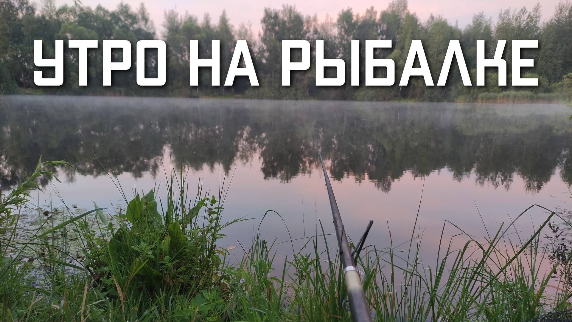 Утро на рыбалке с берега в Подмосковье