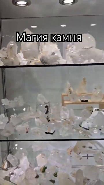 В МАГАЗИНЕ КАМНЕЙ ШТАТА #ФЛОРИДА 1000053416.mp4