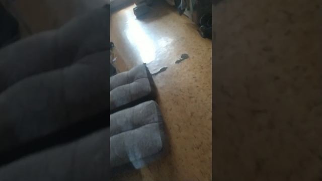 СКИБИДИ ТУАЛЕТ В РЕАЛЬНОЙ ЖИЗНИ 6 ЧАСТЬ