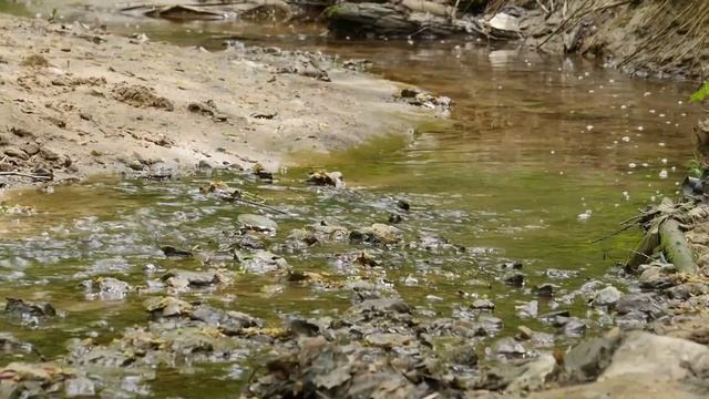 Экспертиза турпохода. Как  правильно выбрать палатку. Выпуск 3