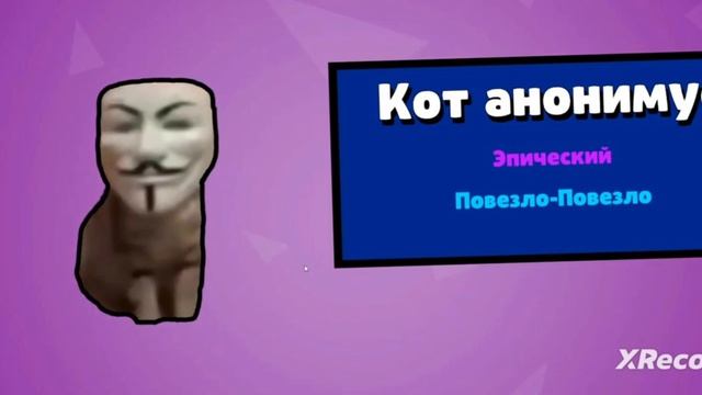 Кот анонимус