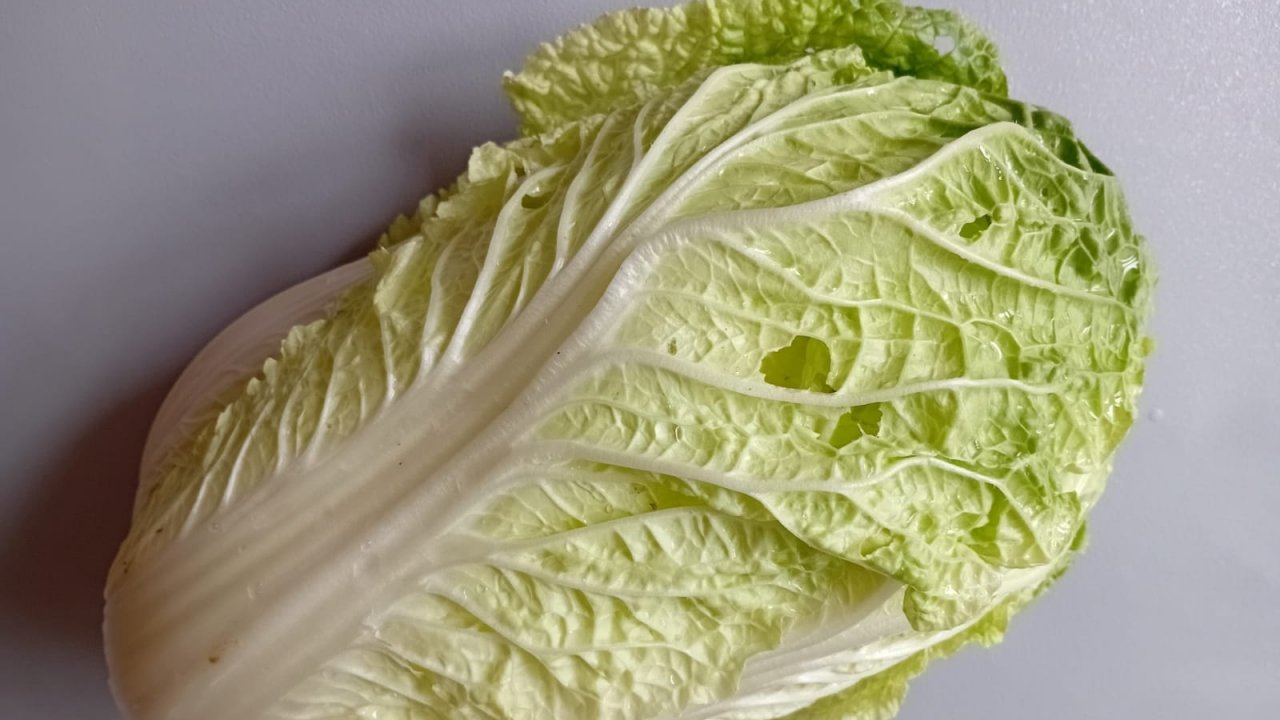 СУП С БРЫНЗОЙ И ПЕКИНСКОЙ КАПУСТОЙ