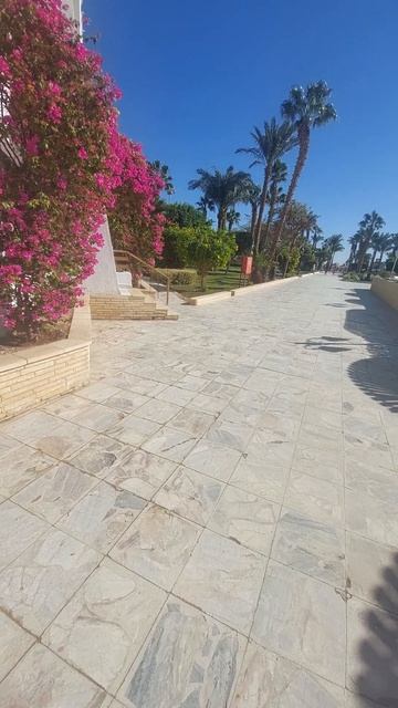 Путешествуйте выгодно rosbillet.ru