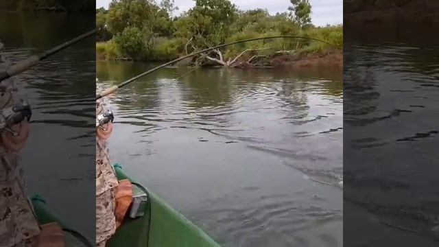 Камчатка. Кижучевая рыбалка 2018.