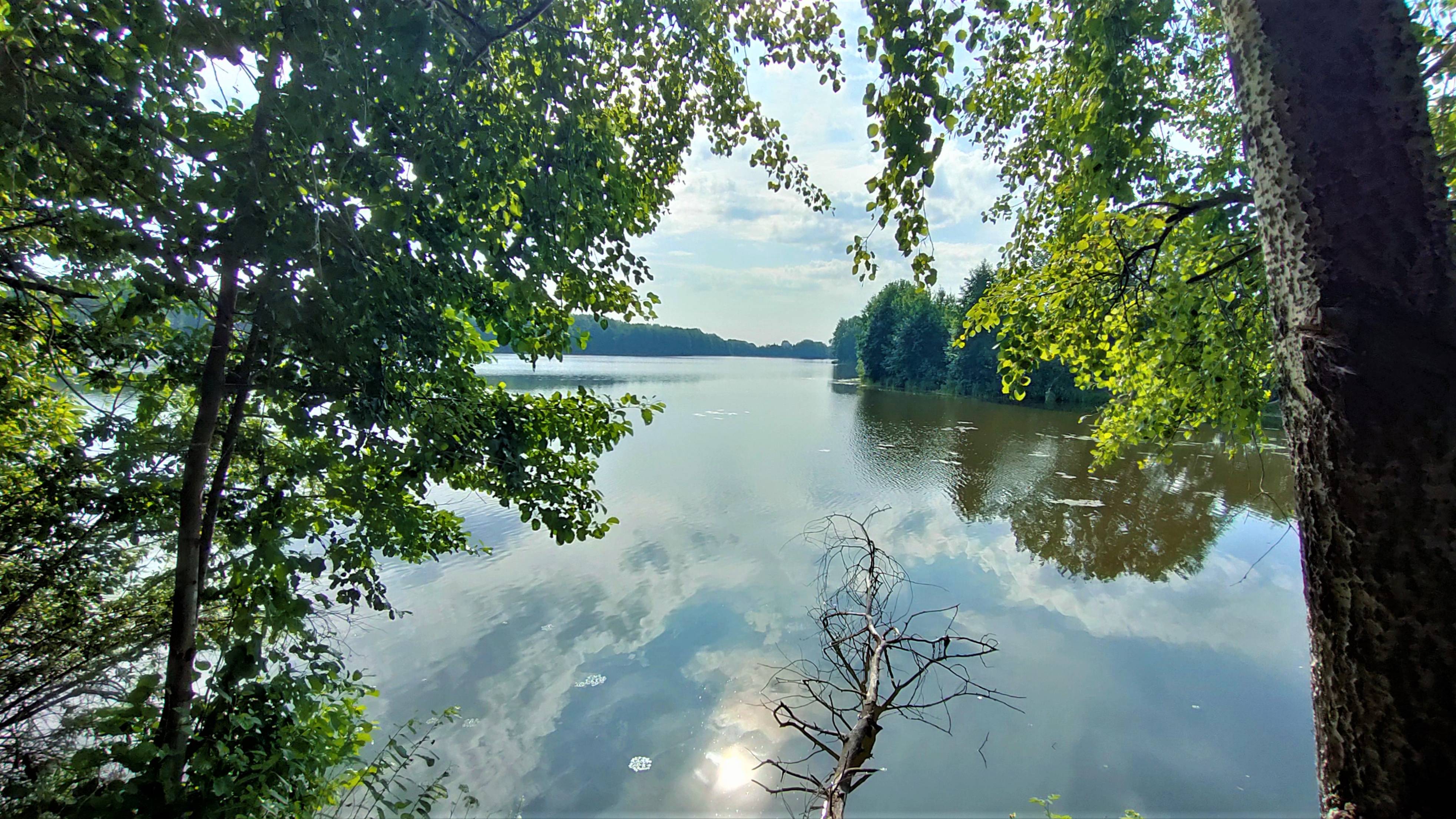 Утро на озере