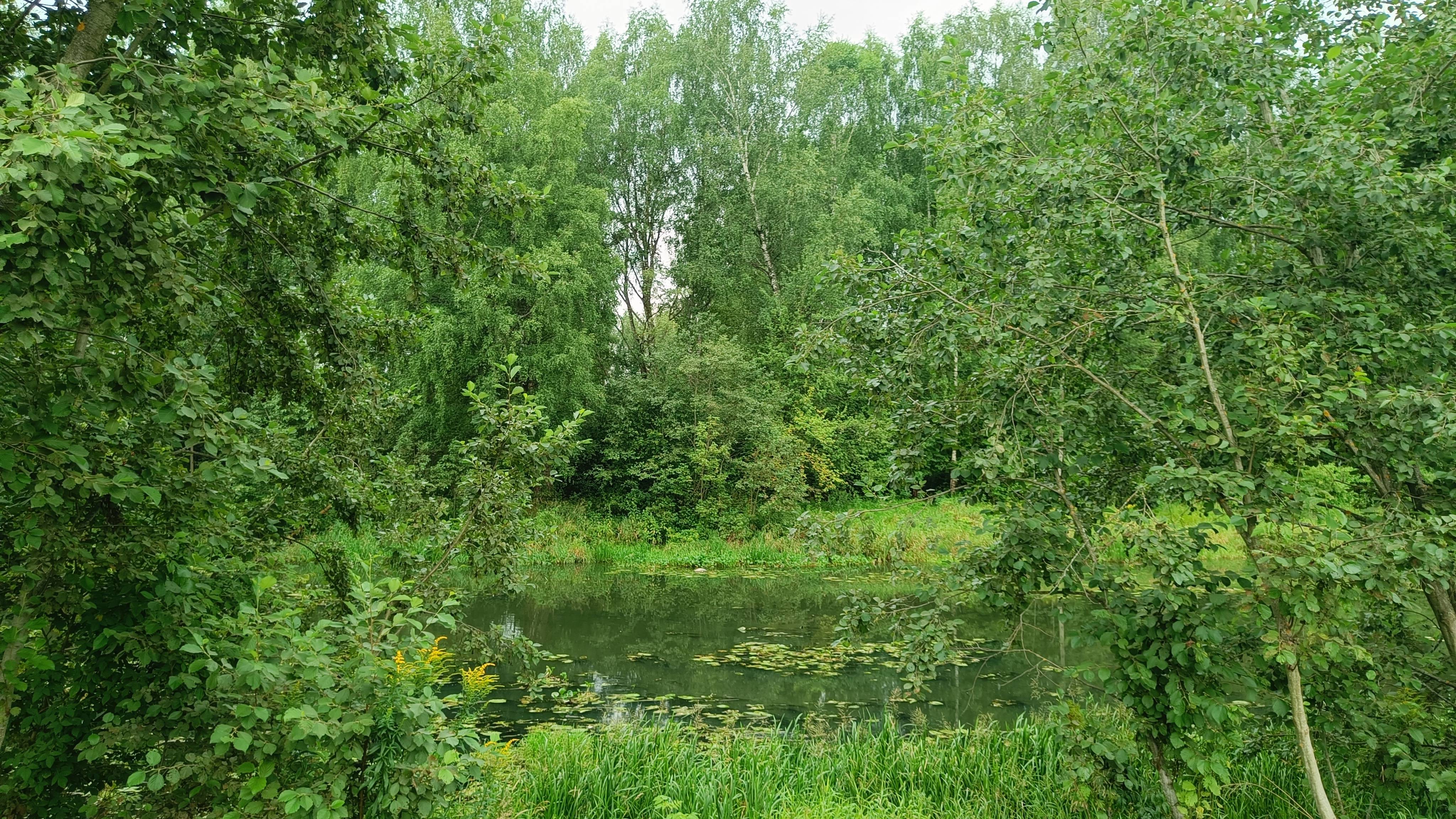 Лето 2025: Вот и август