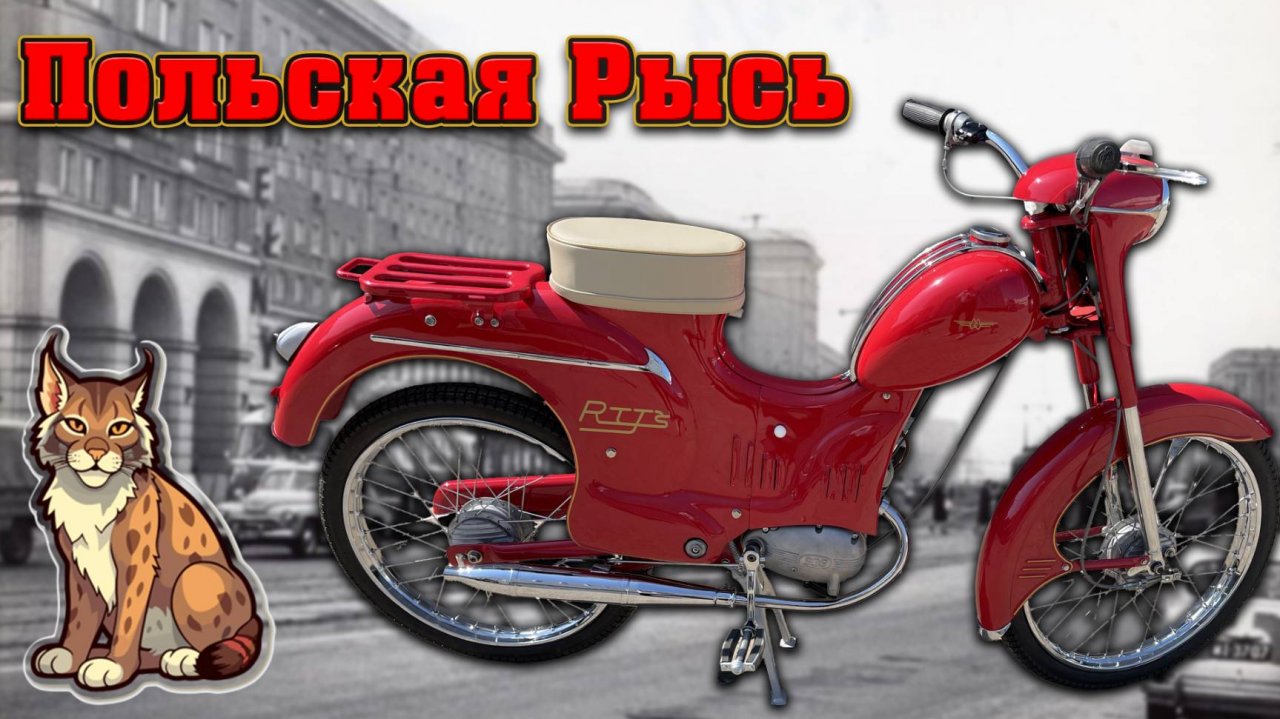 РЕДКИЙ ПОЛЬСКИЙ МОПЕД. Обзор "Rys” Mr1B 1963 г.в.