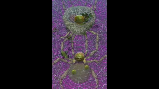 Арахно сыр 6 — сделано в Clipchamp