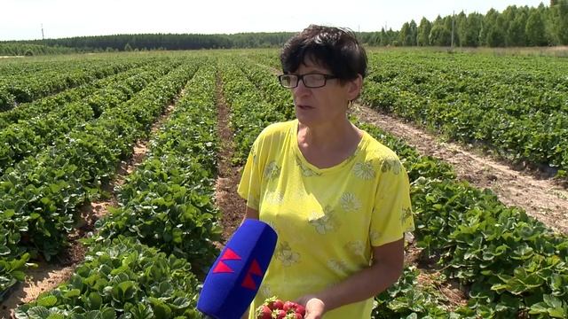 «Земля и люди» — 1.08.2025