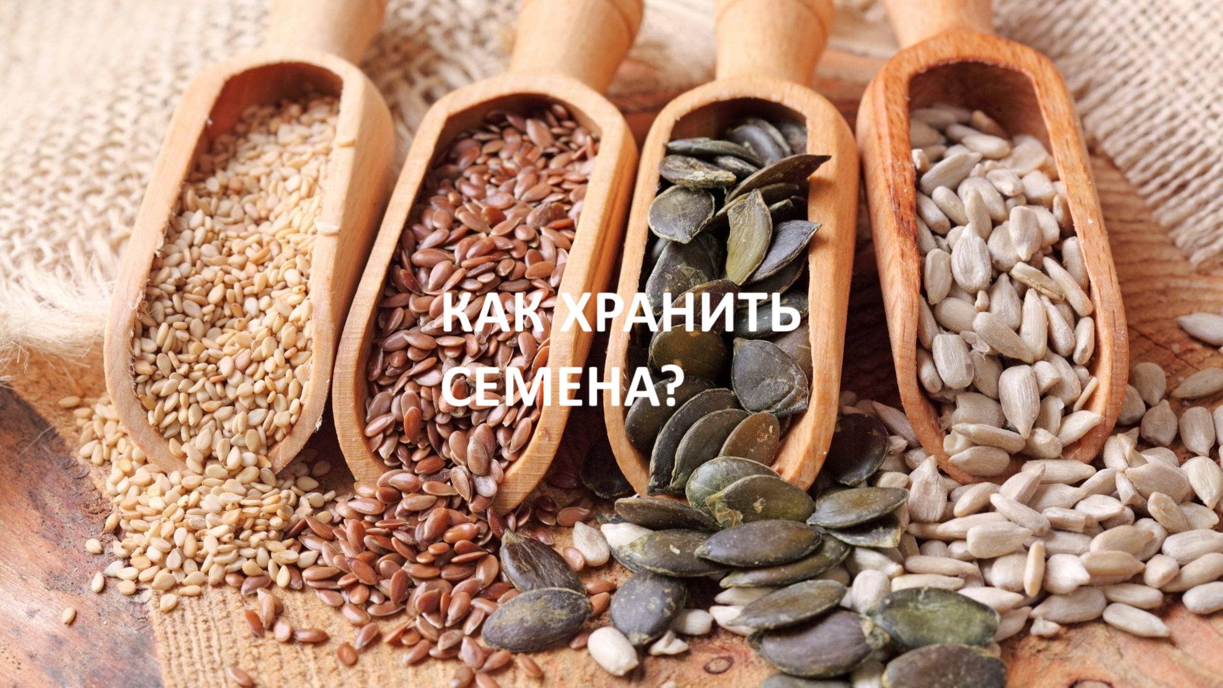 Как и сколько можно хранить семена?