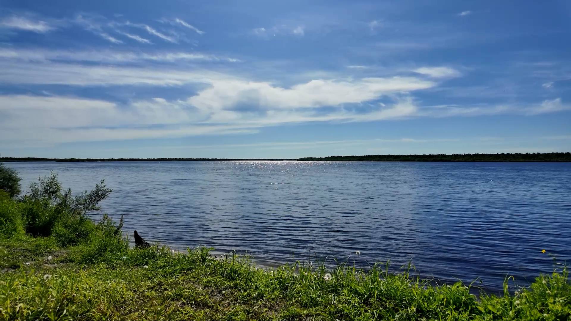 Зарисовка - Летний Красноселькуп