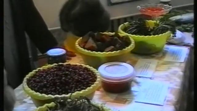 н150 лет 2. Празднование (480p_25fps_H264-128kbit_AAC)