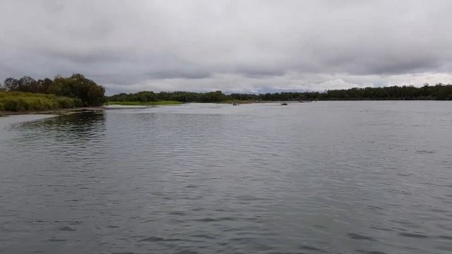 Река Большая, Камчатка.