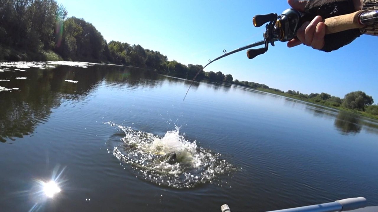 Рыбалка на Рассвете! Ловля на Спиннинг! Здесь Монстры!